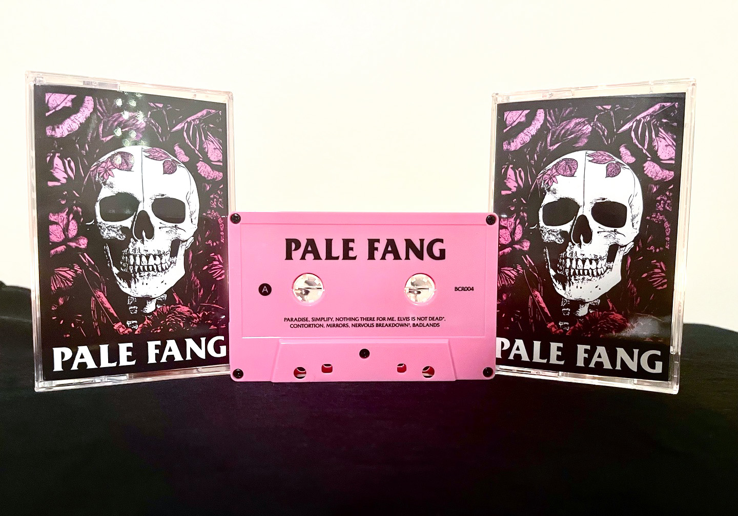 Pale Fang : Last Show
